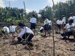 20230726_penanaman-mangrove-di-paser.jpg