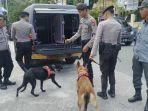 20231224_anjing-pelacak-milik-Polda-Kaltim-untuk-sterilisasi-Natal.jpg