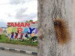 20240119_Taman-Bebaya-Samarinda.jpg