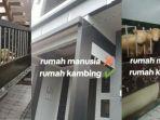 20240131_kandang-domba.jpg
