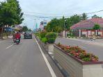 20240208_tanaman-di-Jalan-Raya-dalam-Kota-Tanjung-Redeb.jpg