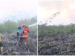 20240421_Karhutla-di-Samarinda-Kalimantan-Timur.jpg