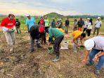 20240619_Penanaman-jagung-hibrida.jpg