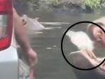 20240622_Video-viral-wisatawan-tampak.jpg