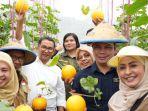 20240820_Panen_Melon_B.jpg