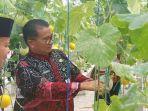 20241125_Pj-Gubernur-Kaltim-Akmal-Malik-saat-panen-buah-melon-hidroponik.jpg
