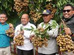 20250105_panen-buah-kelengkeng-di-Desa-Klempang-Sari-Paser.jpg