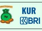 20250130_tabel-pinjaman-KUR-BRI_cara-pengajuan.jpg