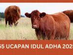 20250524_Ucapan-Idul-Adha.jpg