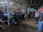 20250529-sabung-ayam-di-dusun-putak-kukar.jpg
