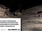 20250602_Kemunculan-Macan-Dahan-di-Kaltim.jpg