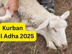 20250604_kurban-idul-adha-2025.jpg