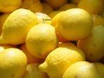 20250609_Manfaat-buah-lemon-bagi-kesehatan.jpg