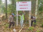 Polsek Bentian Besar Kubar dan PT Timberdana Pasang Plang Larangan Menebang Pohon