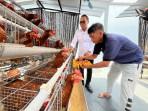 Rutan Balikpapan Panen Ribuan Telur Ayam Hasil Program Kemandirian Warga Binaan