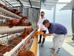 Belajar dari Nol, Hendra WBP Rutan Balikpapan Sukses Pelihara Ayam Petelur