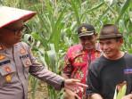 Polres Kutai Barat Gelar Panen Raya Jagung Serentak Kuartal III