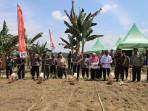 20251008-tanam-jagung.jpg