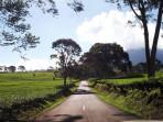 20251012_Perkebunan-Teh.jpg