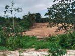 27062025-Pematangan-lahan-di-kawasan-perbukitan-Samarinda.jpg