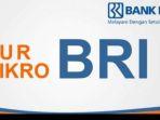 BRI-merupakan-salah-satu-bank-penyalur-Kredit-Usaha-Rakyat-KUR.jpg
