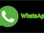 Cara-Sadap-WhatsApp-hanya-dengan-Nomor-WA-Simpel-Cek-Kapan-Pasangan-Online-hingga-Apa-yang-Diupload.jpg
