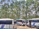 Daftar-Moda-Transportasi-di-IKN-Nusantara-Kaltim-termasuk-4-Jenis-Bus.jpg
