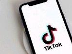 ILUSTRASI-TikTok-15822.jpg