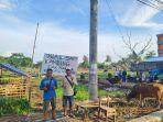 JUAL-SAPI-KURBAN1.jpg