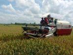 Sambut IKN Nusantara, Kalimantan Timur Persiapkan Sektor Pangan dan Holtikultura
