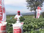 PKT-bekerja-sama-dengan-Kelompok-Tani-Mitra-Tani-Parahyangan-Cianjur.jpg