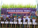 Panen-raya-tebu-di-Sendangtirto-Berbah-Sleman-Rabu-1052023-yang-digelar-Pupuk-Kaltim.jpg