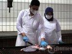 Pembagian-Daging-Kurban-Berapa-Kg-Cek-Aturan-bagi-yang-Berkurban-Sedekah-dan-Hadiah-di-Idul-Adha.jpg