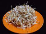 SRIPOKUCOMBejo-kecambah-mentah.jpg