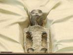 Sosok-jasad-diduga-alien-yang-dipamerkan.jpg