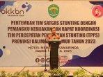 Tim-Percepatan-Penurunan-Stunting.jpg