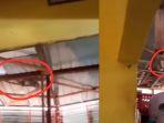 Viral-Penampakan-Monyet-Liar-Keliaran-di-Rumah-Warga-Jalan-Kutilang-2-Ringroad-Balikpapan-Kaltim.jpg