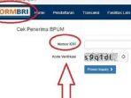 akses-link-eform-bri-di-website-bricoid-fix-lagi.jpg