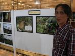 badak-kalimantan_20150923_211044.jpg
