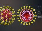 bagian-virus-corona-atau-covid-19-fix.jpg