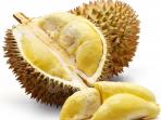 durian_20151025_082316.jpg