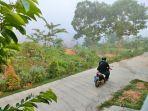 gala-puncak-kabut-ini.jpg