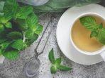 ilustrasi-teh-daun-mint.jpg