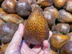 ilustrasii-buah-salak.jpg