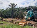 lahan-sawit-di-desa-kendarom-kecamatan-kuaro-kabupaten-paser.jpg