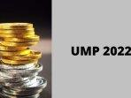 lengkap-daftar-ump-2022-di-31-provinsi-dki-jakarta-tertinggi-empat-provinsi-tidak-ada-kenaikan.jpg