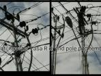 perbaikan-jaringan-listrik_20160212_205616.jpg