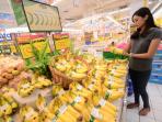 Berkat Pisang Cavendish, Warga Bringinan Jawa Timur tak Lagi Pusing Bayar Pajak Bumi dan Bangunan