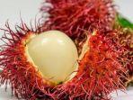 pixabaycom-buah-rambutan.jpg