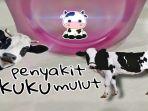 pmk-sapi-hewan-ternak.jpg
